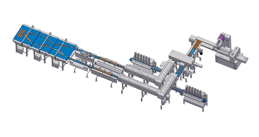Group packaging solution with auto tray loading unit