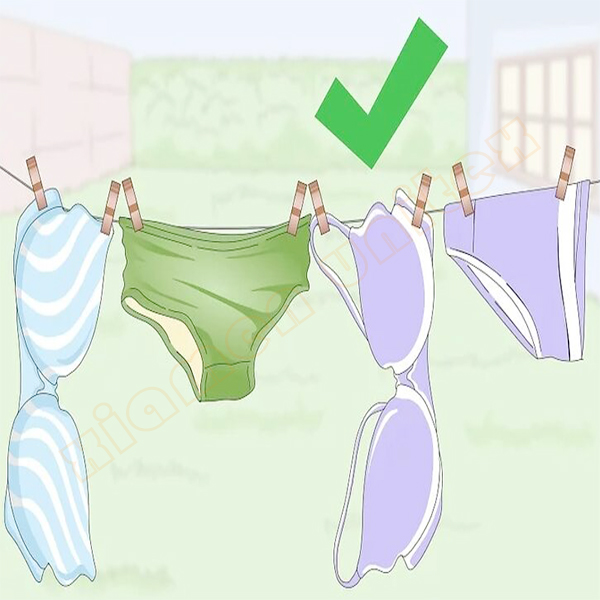 Clean underwear-9.jpg