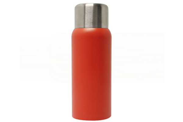 LooK At The Benefits of Thermos Stainless Steel Water Bottle
